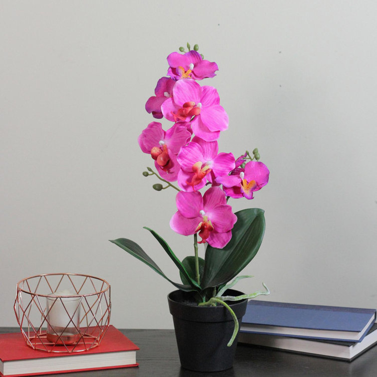 Northlight Silk Orchid Arrangement Wayfair